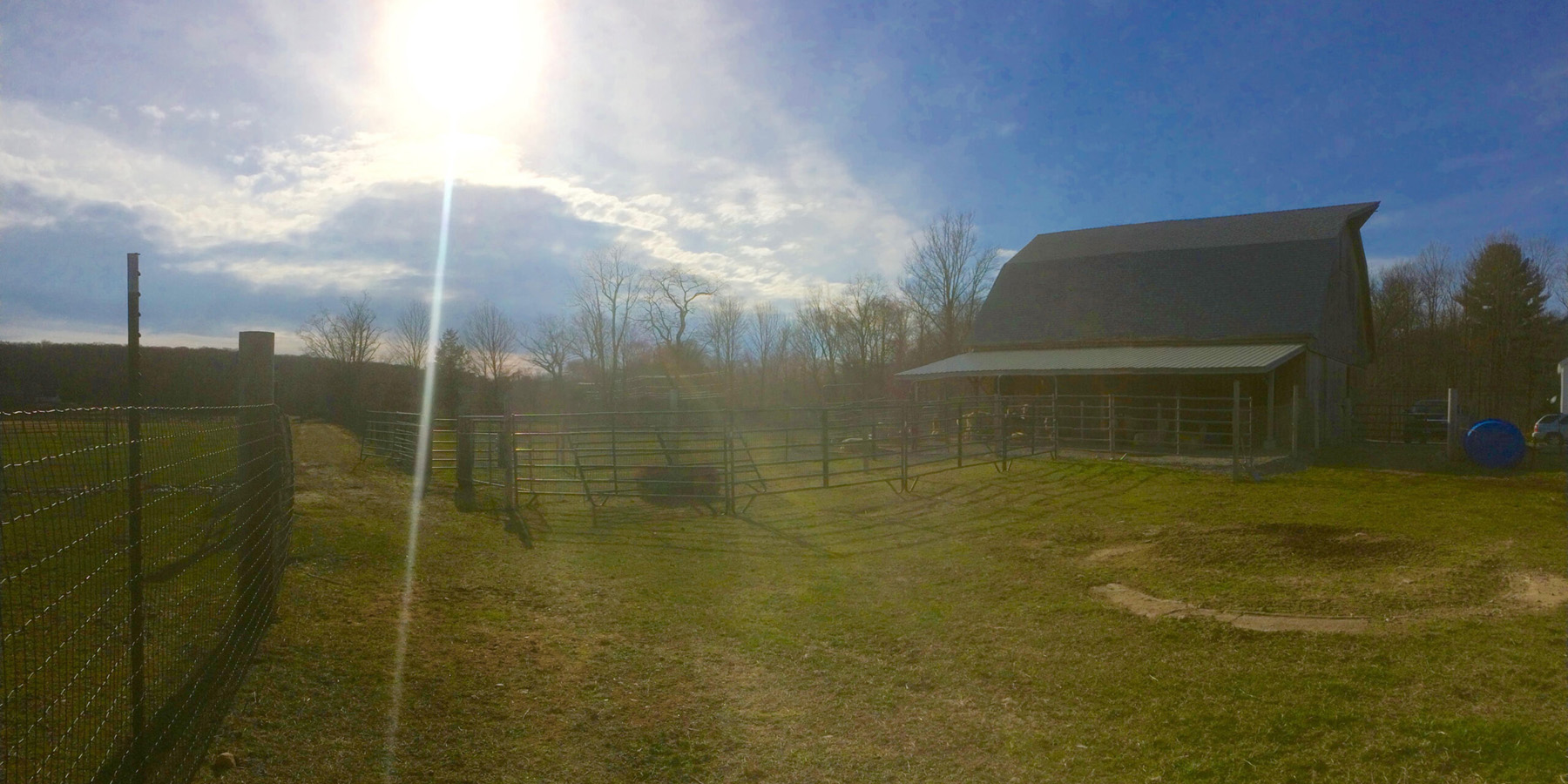 Six Paca Farm, Bozrah, CT